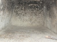 gale-20120725 076